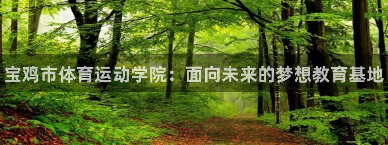 JJB竞技宝官网下载平台是正规平台吗:宝鸡市体育运动学院:面