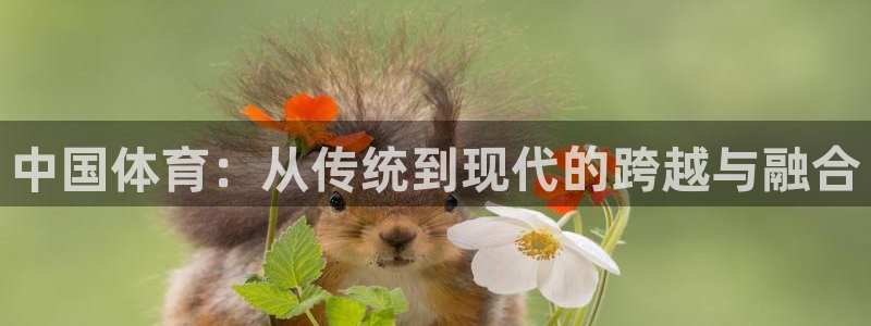 JJB竞技宝官网下载招商电话是多少啊:中国体育:从传统到现代